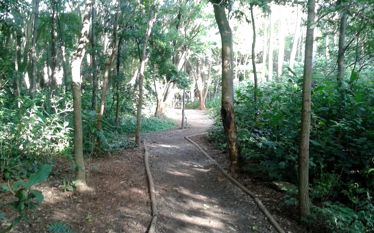 Imagem ilustrativa: Parque Villa-Lobos - Vai Pela Sombra 05.jpg