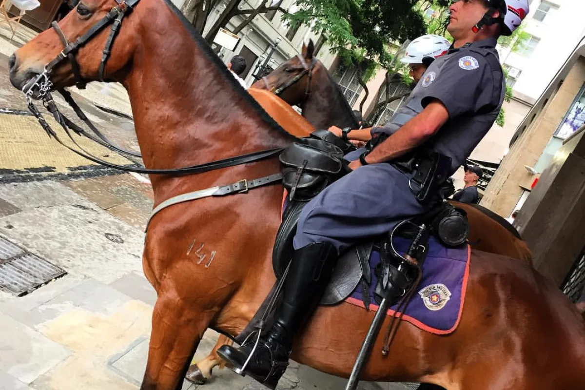 Homem é preso por tentativa de feminicídio em Perdizes, SP
